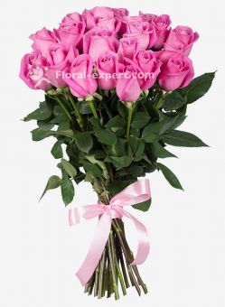 Pink Roses